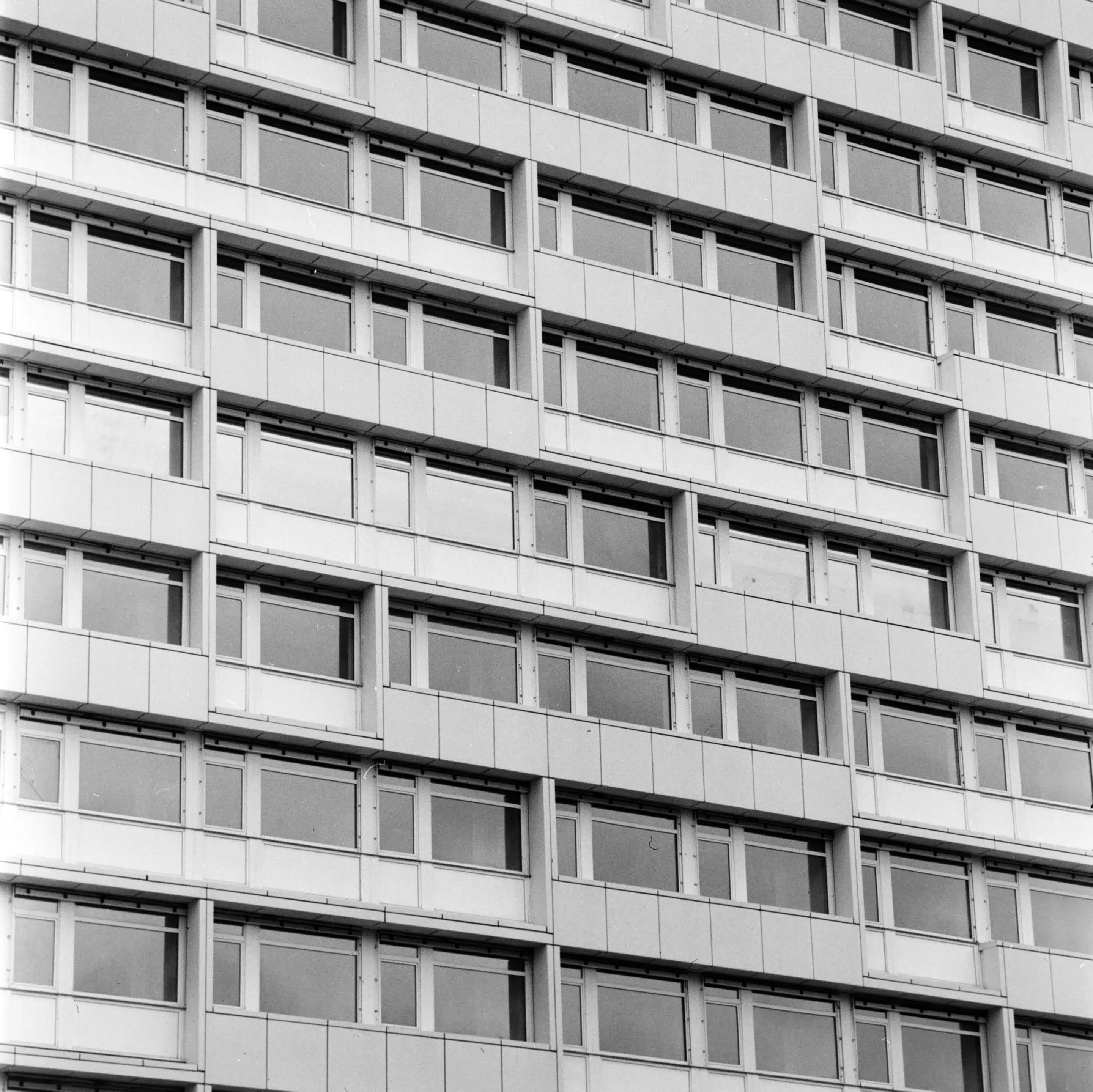 DSC00003_1